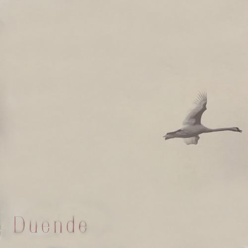 Duende