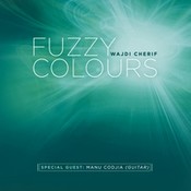 Fuzzy Colours